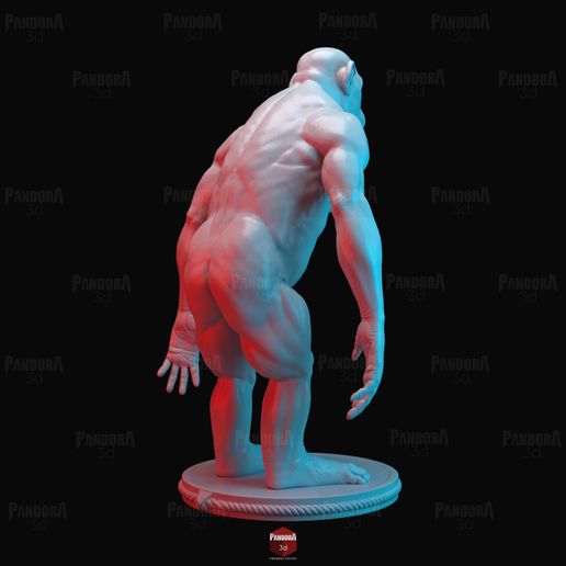 Monkey_04.jpg Monkey anatomy