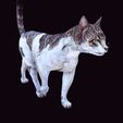 1.jpg CAT - DOWNLOAD CAT 3d model - animated for blender-fbx-unity-maya-unreal-c4d-3ds max - 3D printing CAT CAT - POKÉMON - FELINE - LION - TIGER