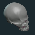 SSkull-17.png Stylized Skull