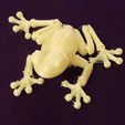 Cute Flexi Print-in-Place Frog, reesen