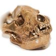 product_image_10097.jpg Free STL file Hyena Skull Pendant with Loop・3D print model to download