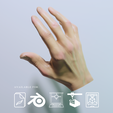 2.png 真人大小的 3D 扫描男性手部 - 用于雕塑和数字建模的模型