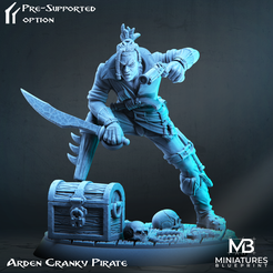 Arden_Cranky_Pirate.png 3D file Arden Cranky Pirate - Mad Pirates・Template to download and 3D print