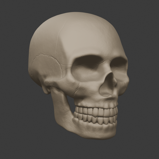 Skull