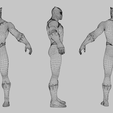 Wireframe.png Black Panther Lowpoly Rigged