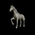 13.jpg American Quarter Horse model 3D print model