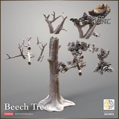 720X720-release-beech-3.jpg Beech Tree Winter/Summer versions - The Hunt