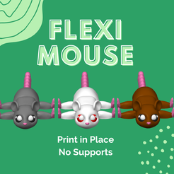 Green-Abstract-Coming-Soon-Instagram-Post-1.png Gus the Flexi Mouse - No Support Print in Place