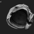 PSP_z7.jpg Pirate skull pendant vol 1 3D print model