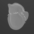 imagen_2023-07-29_173625921.png Magnetic anatomical human heart