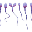 R3.png Sperm Morphology: Normal and Abnormal