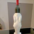 IMG20220929131030.jpg Camargue horse wine bottle stand