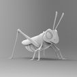 render_03.jpg Free STL file grasshopper・3D printing design to download
