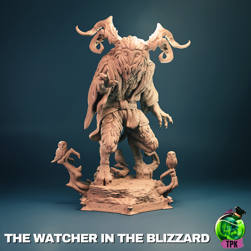 The Watcher in the Blizzard