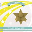 etoile_12branches_def01.jpg Star with 12 branches