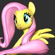 2_1.jpg Fluttershy - My Little Pony
