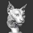 10.png Lynx head AM18 3D print model