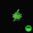 Cover_face_05.jpg Archivo 3D Oruga Jack O lantern - Cara tallada・Diseño imprimible en 3D para descargar