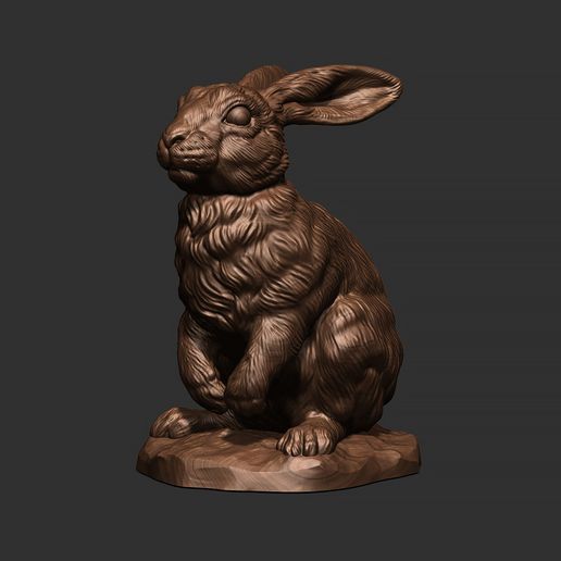 30.jpg Rabbit sitting