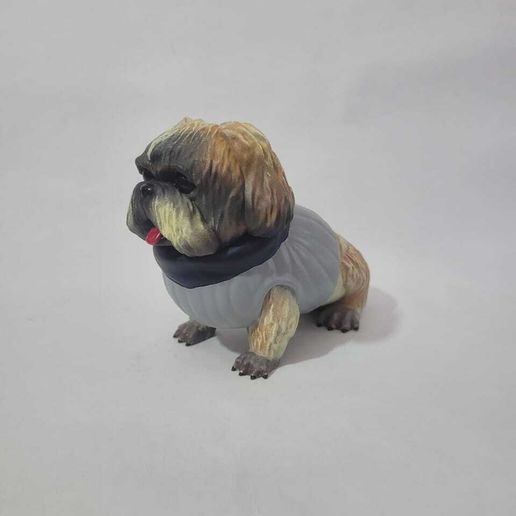 WhatsApp-Image-2024-08-18-at-12.17.10-PM-4.jpeg Shih Tzu