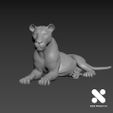 Lioness-3.jpg Lioness 3 Scale 1/64