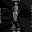 evellen0000.00_00_02_07.Still005.jpg Catwoman Grey Bodysuit - Collectible Edition