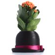 SAM_0388.jpg Bowler Hat Mini Plant Pot for Succulent&Cactus