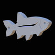 Common-rudd-keychain-2d-5.png common rudd fish 2d keychain / pendant