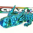 Crazy3D_Dragon_big_6.jpg Ultra articulated Dragon - Big 270mm
