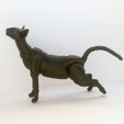 IMG_20191122_140711.jpg STL file Oriental Cat BJD・3D print design to download