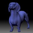 Wire Frame 2.jpg Dutch hound Dachshund 3D printable model