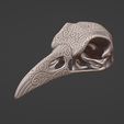ScreenShot001.jpg RAVEN SKULL with motif