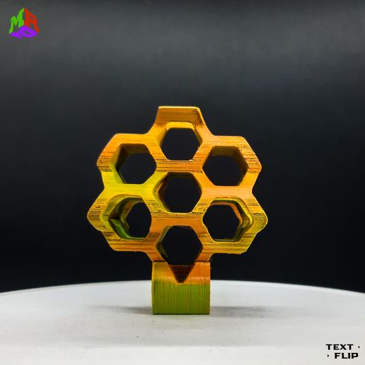 20230623_132108.jpg The Flips: Bee - Honeycomb