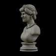 12.jpg Princess Diana 3D model ready to print