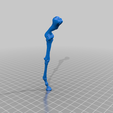 HorSkel_LF_Leg.png Esqueleto de cavalo