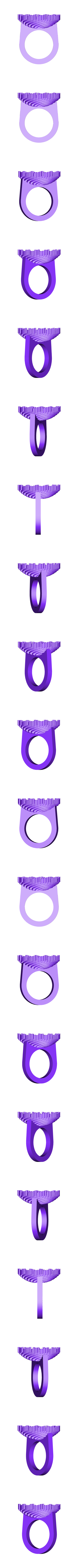 fermat_cylinder_ring.stl Fichier STL gratuit H1-H0's Jewelry・Objet imprimable en 3D à télécharger, leothemakerprince