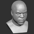 13.jpg Ice Cube bust 3D printing ready stl obj formats