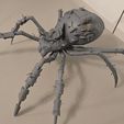 13.jpg Grounded 2- Max and Orb weaver Spider