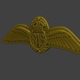 WW2-British-Royal-Air-Force-Wings-I-0002.jpg 二战英国皇家空军机翼 I