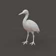 Bird_1.1.jpg Heron Bird