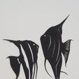 20180904_182555.jpg Angel fish wall art \ Decor