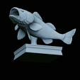 Bass-trophy-40.png Largemouth Bass / Micropterus salmoides fish in motion trophy statue detailed texture for 3d printing