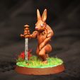 hare-knight.jpg Hare Loyal Knight