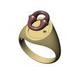 Bone-link-Oval-ring-size7to10-06.jpg Bone link insert signet ring US sizes 7to10 3D print model