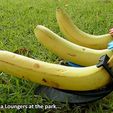 0bc7f2b16b5cf15f5a908e799ff1fe7c_display_large.jpg Banana Loungers