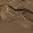 SKU-_06_detail_oak.png 霸王龙头部浮雕 - 3D STL 模型