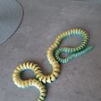 Serpiente y cascabel