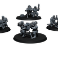 HWT-Display-2.png Heavy Weapons Team