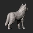 Husky12.jpg Husky 3D printed model