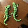 Articulated Lizard v2